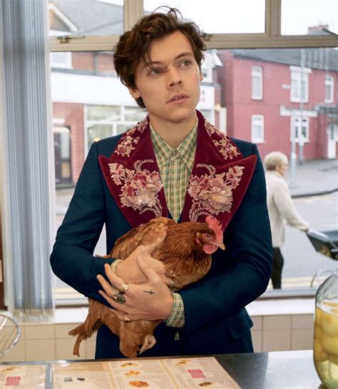 harry styles in rome for gucci 2019 campaign|Harry Styles Gucci memoire.